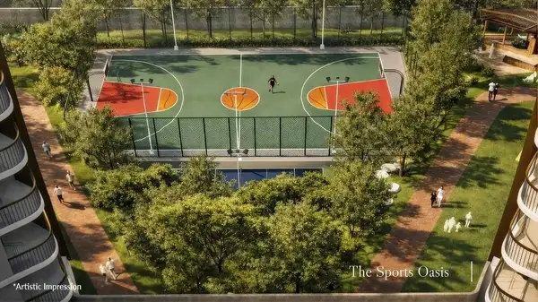 The Sports Oasis
